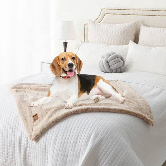 HKM-944979 Luxury Reusable Waterproof Cat and Dog Pee Mat Cover with Double-Sided Fur Sherpa and Coral Velvet Fleece