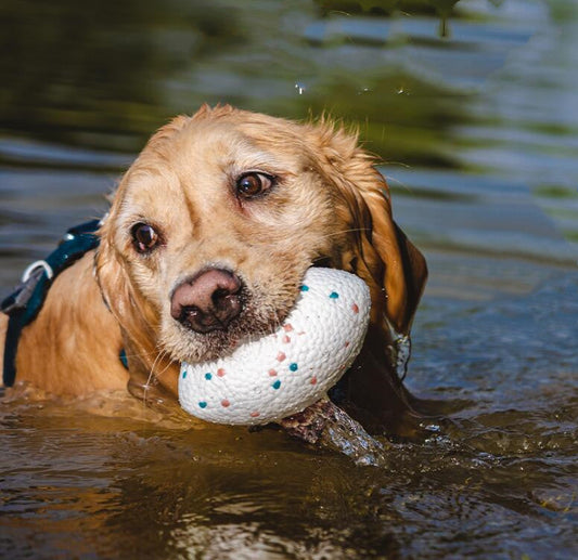 HKM-005011 Teeth-resistant Pet Dog Chewing Toy Football