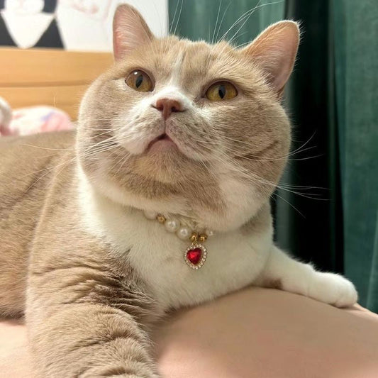 HKM-0057661 Internet Celebrity Cat Themed Pearl Necklace in Various Colors and Sizes