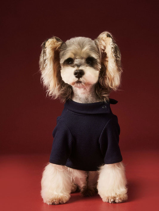HKM-0152125 Cozy Waffle Four-Legged Pet Clothing for Autumn and Winter in Beige and Navy Blue