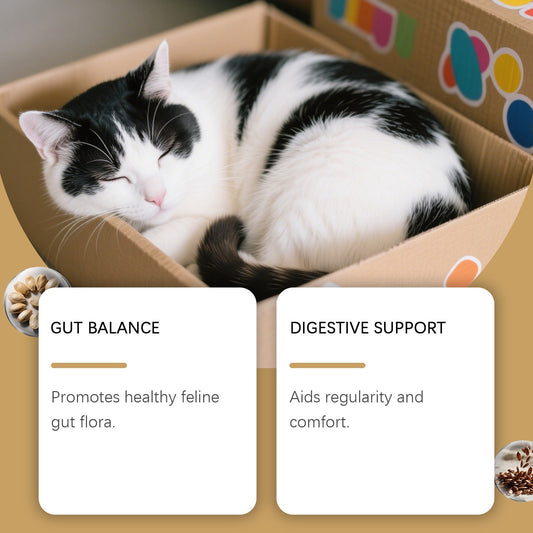 HKM-0191933 Probiotic Soft Pellets for Cats with Pumpkin Seed Extract and Flaxseed Powder