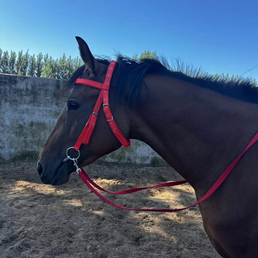 HKM-022547 Durable Horse Halter with Rope - Available in Black, Blue, and Red for Ponies and Large Horses