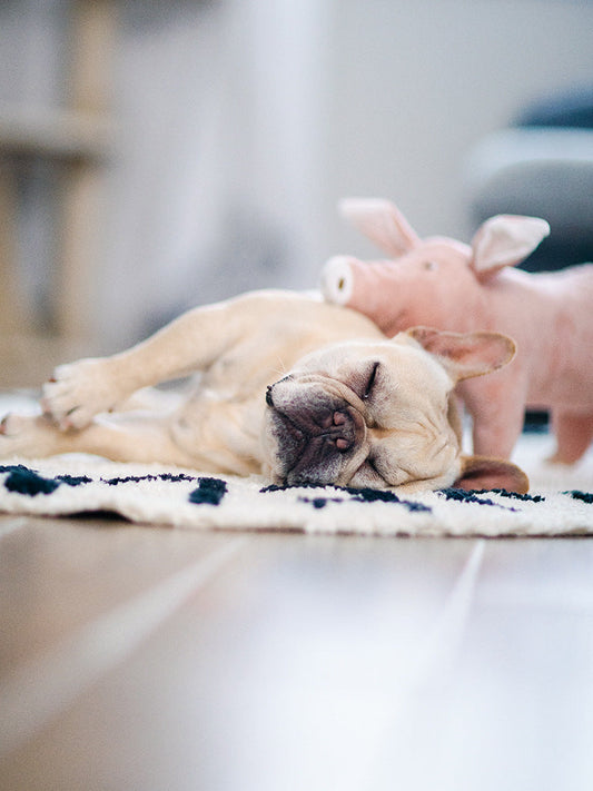 HKM-0239805 Pink Plush Pig Sleeping Companion Toy for Dogs