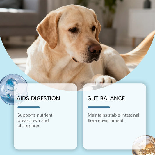 HKM-0290237 Dog Intestinal Health Soft Granules with Probiotics and Pumpkin Seed Extract