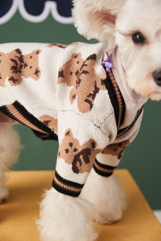 HKM-0440509 Preppy V-Neck Striped Pet Sweater for Dogs and Cats - Winter Warm Apparel with Leash Hole