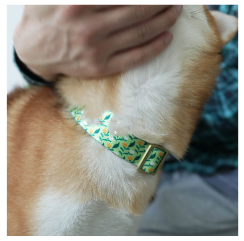 HKM-0477245 Flower Pattern Nylon Ribbon Pet Collar for All Seasons - Multiple Sizes Available