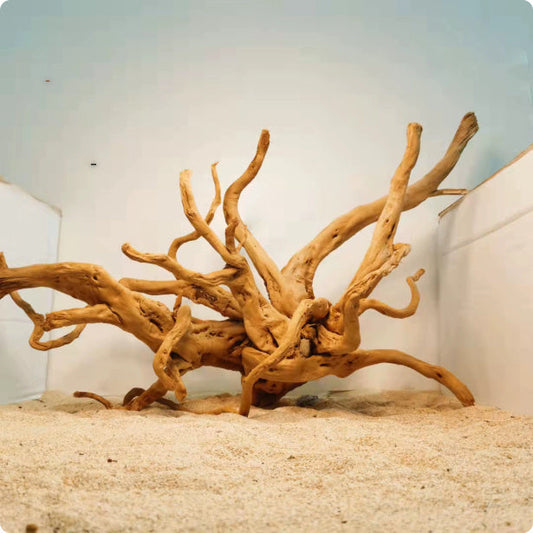 HKM-051347 Natural Root Wood Decoration for Fish Tanks - Available in Multiple Sizes