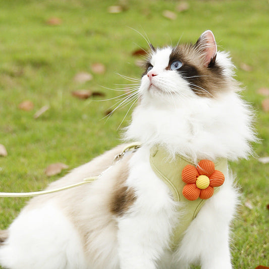 HKM-054483 Green Pet Harness with Flower Design and Rope Attachment - Available in XS, S, M, L Sizes