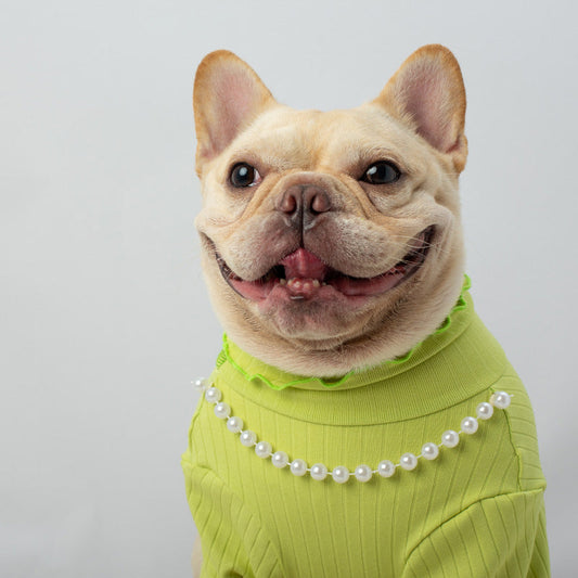 HKM-0562621 Solid Color High Collar Pet Shirt - Elastic Fabric in Orange and Fluorescent Green, Sizes S-XXL