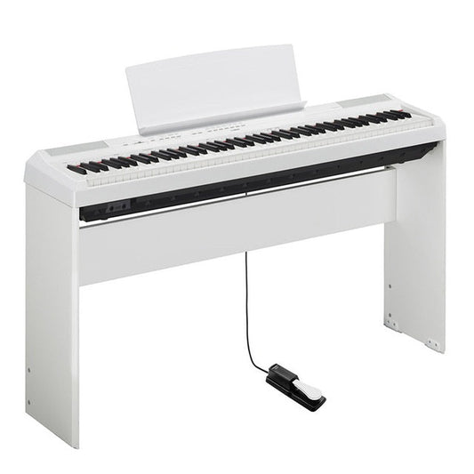 HKM-057107 Universal Electronic Piano Sustain Pedal with 1.7m Cable, 6.5mm Interface, Metal and ABS Construction