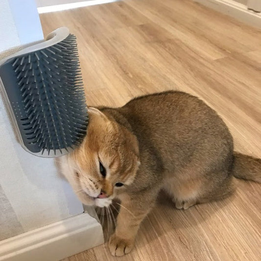 HKM-0629181 Cat Self-Grooming Wall Brush with Catnip - Durable Plastic, Soft Massage Design