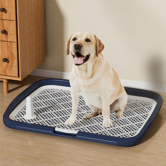 HKM-0646717 Oversized Flat Dog Toilet in Multiple Colors - Anti-Stepping Design, 65x50x6.5cm