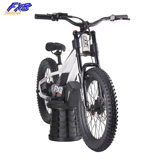HKM-070355 Kids Electric Balance Bike with 800W Brushless Hub Motor, 36V Lithium Battery, 20-Inch Wheels, 3-Speed Gears