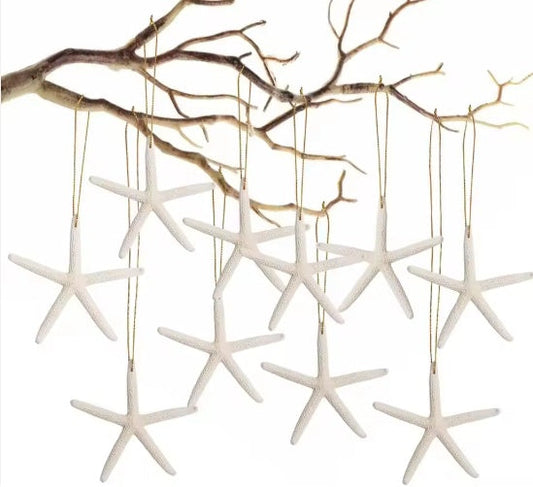 HKM-071059 20 Pack Natural Starfish Ornaments with Rope for Home and Holiday Decor