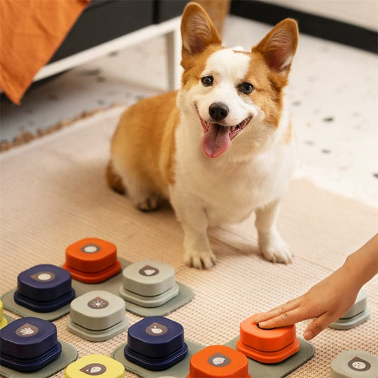 HKM-0726717 Pet Communication Button - Recordable One-Click Toy for Dogs and Cats, Durable and Portable with Multiple Color Options