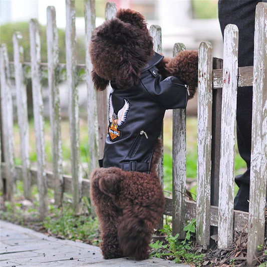 HKM-0737085 Embroidered Eagle Design Small Dog Jacket in Chocolate Black Faux Leather