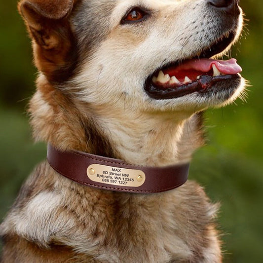 HKM-084947 Engraved Genuine Leather Dark Brown Dog Collar with Durable Buckle and Free Personalized Lettering
