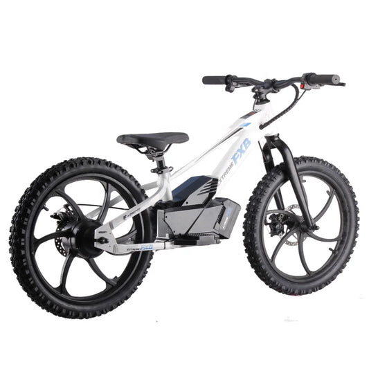 HKM-085011 20-Inch Electric Balance Bike with 2-Speed Gears and Disc Brake, Ideal for Kids Ages 5-10