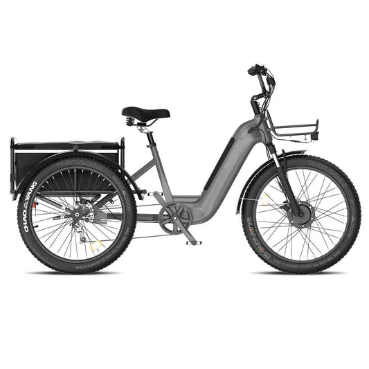 HKM-088595 750W Front Motor Electric Cargo Tricycle with Oversize Saddle and 20" Wheels