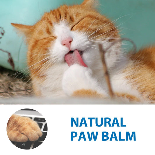 HKM-0985917 Nourishing Moisturizing Stick for Claws with Coconut Oil and Shea Butter, 15g
