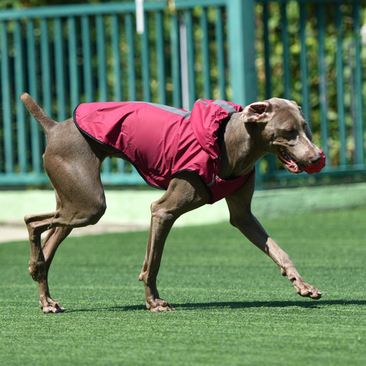 HKM-1046205 Hooded Waterproof Dog Raincoat - Durable Polyester, Available in Multiple Colors and Sizes