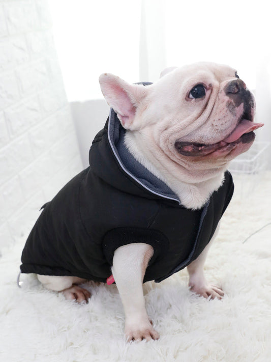 HKM-1048253 Thickened Padded Jacket for Dogs - Casual Black Pet Vest