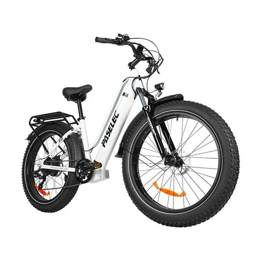 HKM-112083 PASELEC X8 705W Electric Bicycle with 48V 19.2Ah Battery, 7-Speed Gear and Hydraulic Disc Brakes