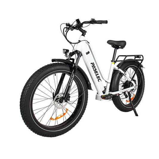 HKM-112083 PASELEC X8 705W Electric Bicycle with 48V 19.2Ah Battery, 7-Speed Gear and Hydraulic Disc Brakes