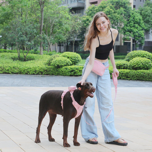 HKM-1209661 Cherry Blossom Pink Corduroy Pet Walking Set with Collar, Leash, Chest Harness & Mini Backpack