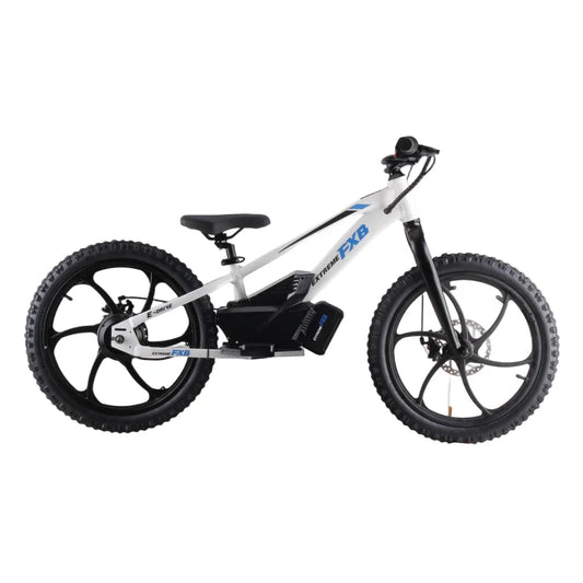 HKM-121235 20-Inch Electric Balance Bike with Lithium Battery and Dual Speed Options