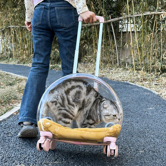HKM-1383485 Transparent PC Pet Travel Trolley Bag with Reinforced Design, 10L Capacity