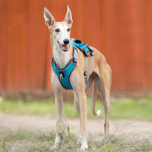 HKM-1484605 Reflective and Breathable Pet Chest Harness with Adjustable Traction Rope