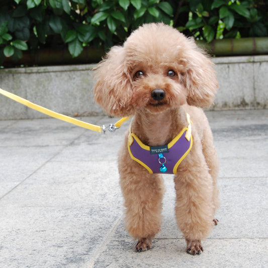 HKM-150483 Soft Mesh Chest Strap Vest for Cats and Dogs with Adjustable Fit and Durable Hook