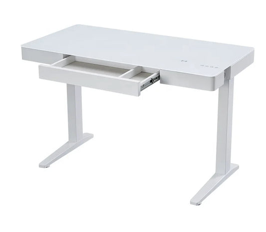 HKM-153299 Adjustable Standing Desk with USB Charging Port for Home Office Use
