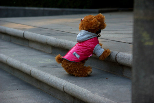 HKM-1535933 Casual Cotton Vest for Dogs - Perfect for Autumn and Winter Wear