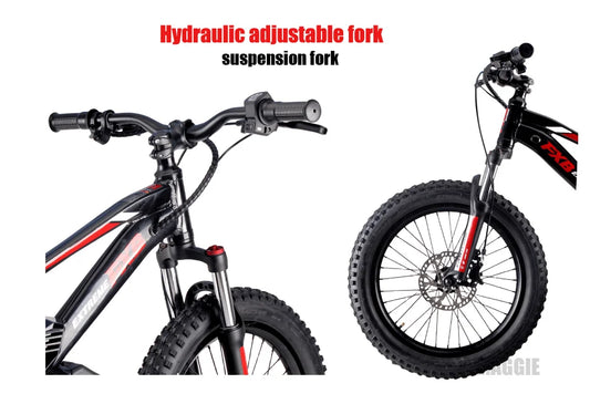 HKM-182163 20 Inch Electric Balance Bike for Kids 5-12 Years Old, 800W Power, 3 Speed, Aluminum Alloy Frame, Lithium Battery Powered