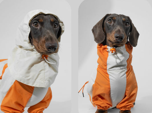 HKM-2067005 Pet Winter Sports Raincoat - Casual Color Matching Clothing for Pets