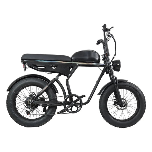 HKM-206931 20-Inch Aluminum Alloy E-FAT Mountain Bike with 750W Motor and Integrated Lithium Battery