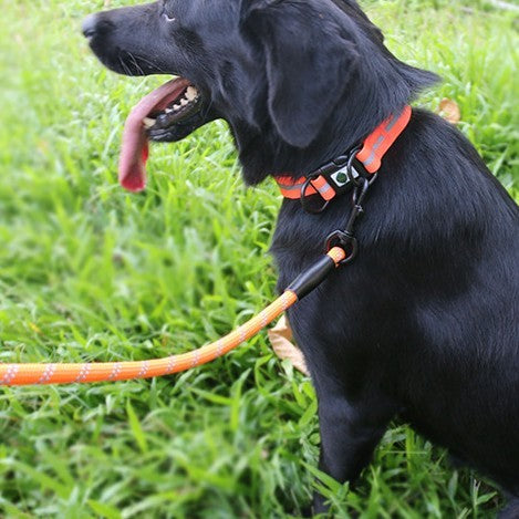 HKM-215379 Reflective Waterproof Pet Dog Harness with Stripes - Available in Multiple Colors and Sizes