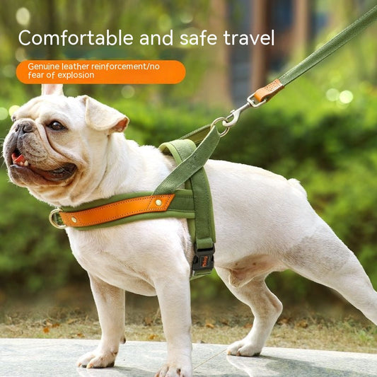 HKM-2303805 Dog Vest Harness with Hand-Holding Rope for Comfortable Walking