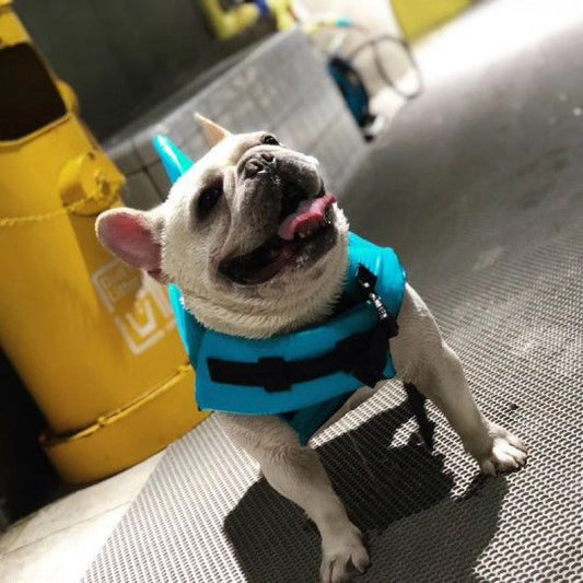 HKM-2324157 Shark Fin Pet Life Jacket for Dogs - Blue & Orange, Multiple Sizes (XS to XXL)