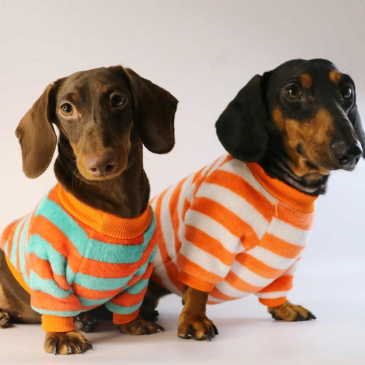 HKM-2386621 Casual Round Neck Sweatshirt for Pets - Warm Orange Red and White Stripes or Green Stripe