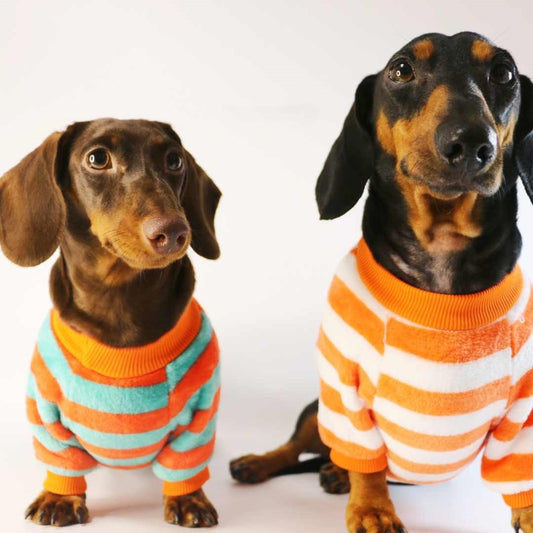 HKM-2386621 Casual Round Neck Sweatshirt for Pets - Warm Orange Red and White Stripes or Green Stripe