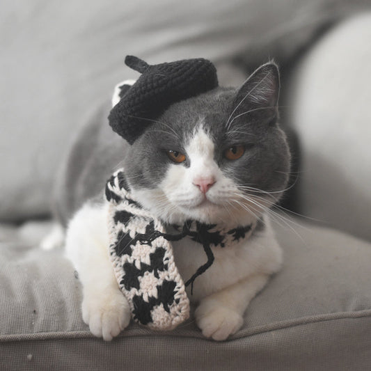 HKM-2484669 Fashionable Pet Beret and Scarf Set with Clear Glasses for Cats and Small Dogs
