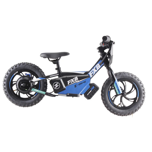 HKM-251155 12-Inch Electric Balance Bike with 36V 250W Brushless Motor and Rechargeable Battery
