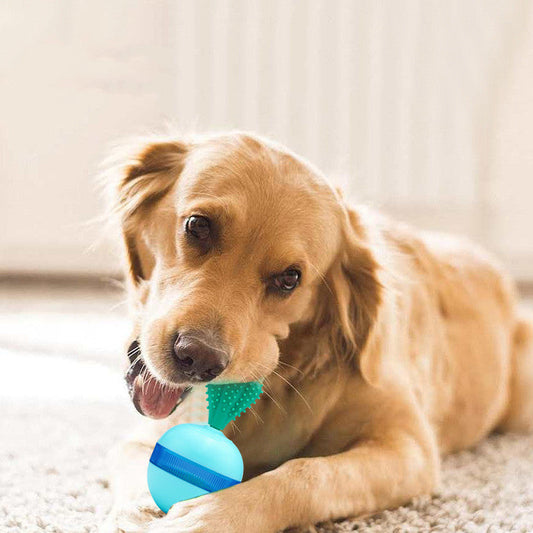 HKM-269459 Pet Does Not Fall Down The Leakage Of Food Ball Toys