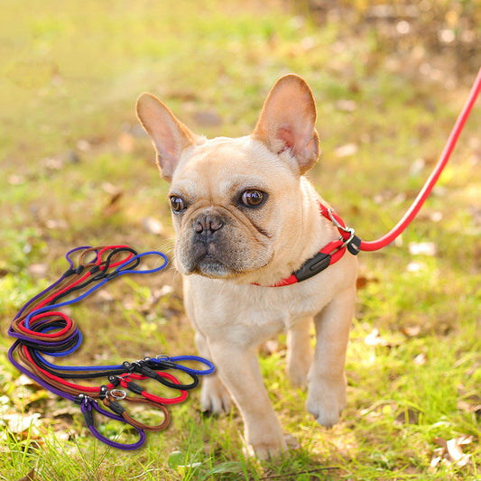 HKM-2801597 Nylon Dog Leash for Small to Large Dogs - 150cm Length, Various Diameter Options