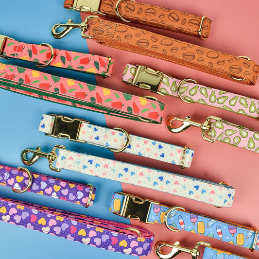 HKM-2980925 Double-sided Pet Collar with Haulage Rope in Various Fun Colors for Dogs and Cats