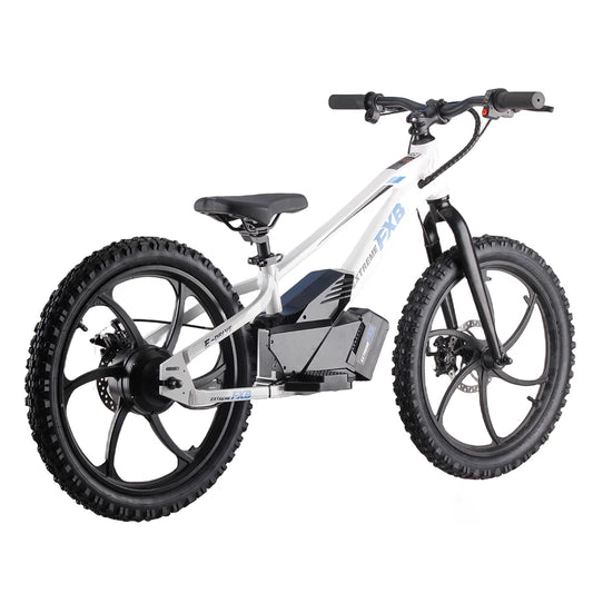 HKM-299731 Electric Bike with 36V Lithium Battery, 400W Motor, 2-Speed Gears, and Disc Brakes, Suitable for City Riding