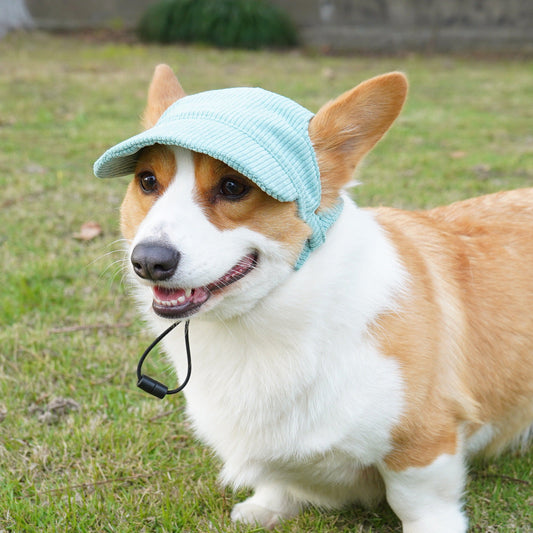 HKM-3039293 Casual Corduroy Hat for Cats and Dogs - Various Colors and Sizes Available